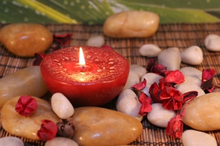 Spa treatment - pretty, relax, treatment, spa, beautiful, candle, flame, lovely, petals, bamboo, stones, flowers, concept, red, nice