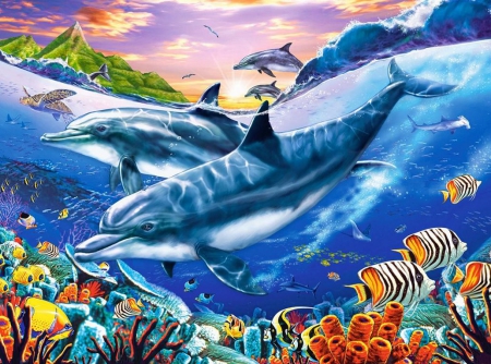 Dolphins - underwater, sealife, corals, colors, fish