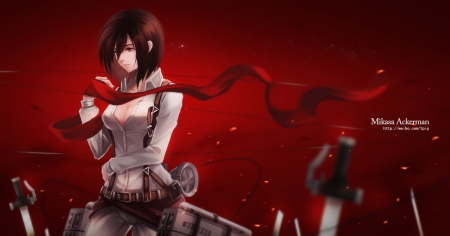 Beauty Mikasa - beauty, mikasa ackerman, attack of titan, anime, new, tv show