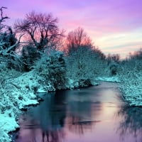 fantastic colors of bushes and sky above a river