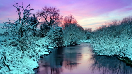 fantastic colors of bushes and sky above a river - river, trees, bushes, colors, sky