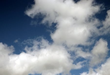 clouded dog - white, fluffy, clouds, blue