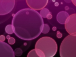 PINK BUBBLES