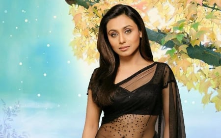 rani - black, beauty, sari, actress