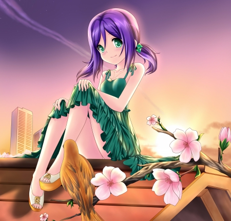 RoofTop - pretty, bird, anime, female, dress, light, long hair, sweert, roof, hd, nice, purple hair, anime girl, ray, hot, girl, sundress, feather, lovely, sweet, flower, sunset, cute, floral, sexy