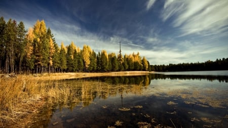 Silence - clouds, water, pine forest, landscape, scene, HD, forest, reflection, nature, pine, lakes, sky, wallpaper