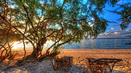 lounge chairs on a beach under a tree hdr - beach, hdr, sea, tree, lounge chairs