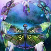 âœ«Dragonfies of Spiritualâœ«