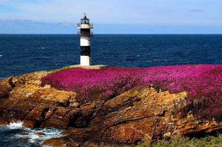 Lighthouse - summer, lighthouse, rocks, water, beautiful, flowers, ocean, shore, horizons, sky, nice, coast, lovely, sea, waves