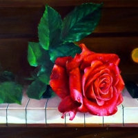 Piano rose