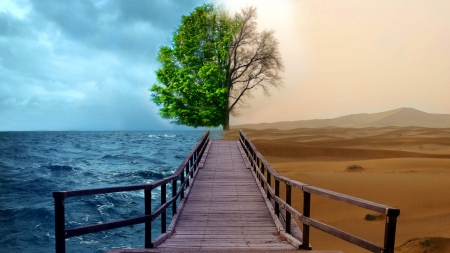 ocean vs desert - trees, nature, photography, deserts, dry tree, ocean, fusion, bridge