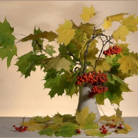 Fall Still Life