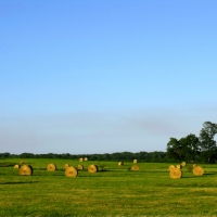 bails of hay