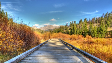 wonderful bridge over valley wetlands in autumn hdr - autumn, valley, wetland, trees, mountain, hdr, bridge