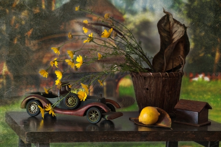 Still Life - car, flowers, nature, yellow flowers, lemon