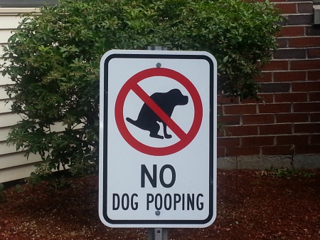 No doggie doo - dumping, doodoo, pooping, dog