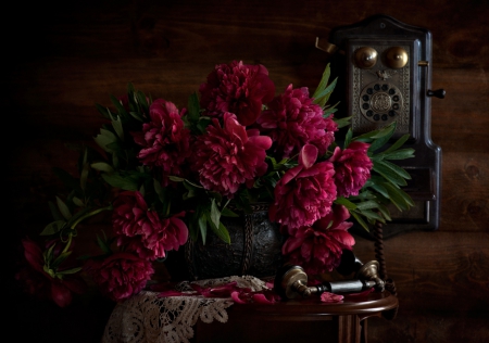 Still Life - flowers, peonies, petals, nature