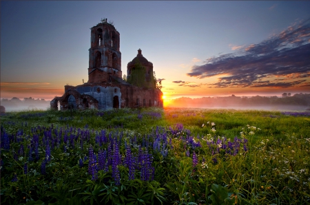 Sunrise - morning, sky, sun, flowers field, field, nature, clouds, splendor, fog, flowers, sunrise