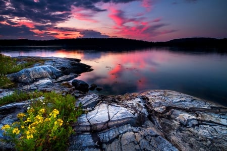 Sunset - clouds, water, splendor, reflection, flowers, sunset, nature, lake, sky, rocks