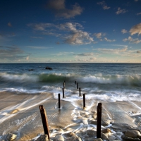 waves on beach with wooden posts