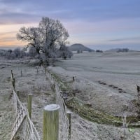 frost on pastures at sunrise