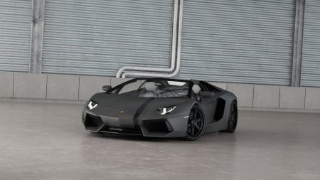 lamborghini Aventador LP700-4 2013 - hd, gray, car, lambo