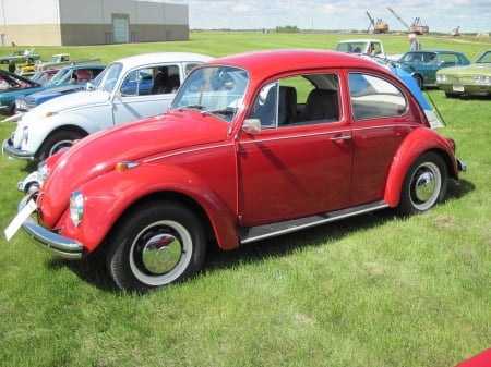 1968 Volkswagen - balck, headlights, red, tires, volkswagen