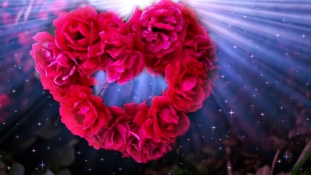 Heart of Roses For my Wonderful Friend Yaty - nature, beauty, art, flowers, fantasy