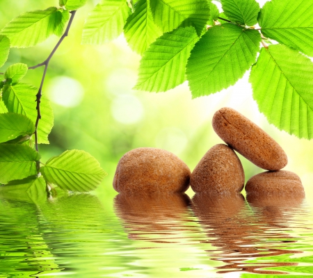 Stones & Water - relax, water, spa, green, sunshine, reflection, stones, leaves