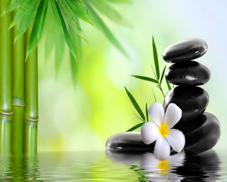 Relaxing Spa - reflection, water, leaves, spa, stones, bamboo, flower, relax