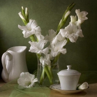 still life in white