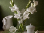 still life in white