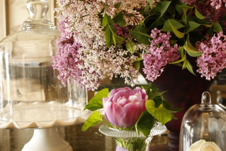 Still life with Lilacs - flowers, image, still life, lilacs