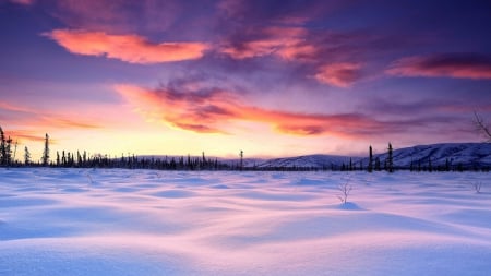 winter on the plains at sunset - plains, trees, clouds, winter, sunset