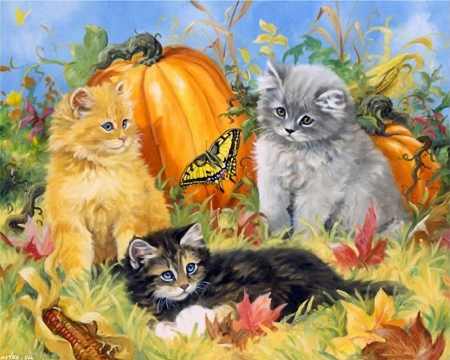 AUTUMN  KITTEN - fall, leaves, kittens, playful, patch, pumpkin