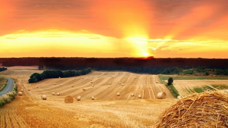 sunset over beautiful straw fields - trees, sunset, fields, straw, road