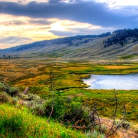 YELLOWSTONE NATIONAL PARK,USA