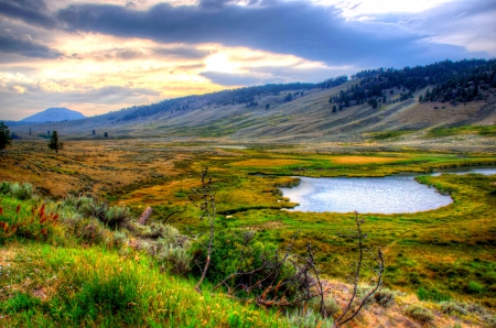 YELLOWSTONE NATIONAL PARK,USA - lake mountains, Yellowstone, Landscape Grass, Nature, USA, National Park, lake, mountains