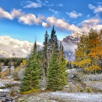 wonderful mountain stream landscape hdr