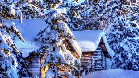 wooden huts in deep winter in alaska hdr - forest, winter, hdr, woode, hts