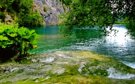 Amazing nature - nice, trees, water, greenery, rocks, amazing, reflection, river, emerald, green, cliffs, lake, shore, lovely, bushes, pertty, nature, beautiful, leaves, stones