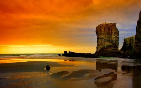 SUNSET - Muriwai Regional Park, sunset, colony, Cliffs with Gannet, New Zealand, Auckland