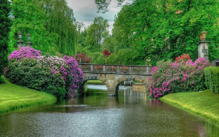 ROSE BRIDGE - water, green, bridge, rose