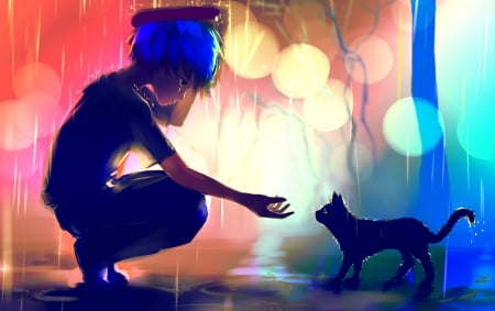 Guy meets a Kitty :3 - anime, cat, lights, guy