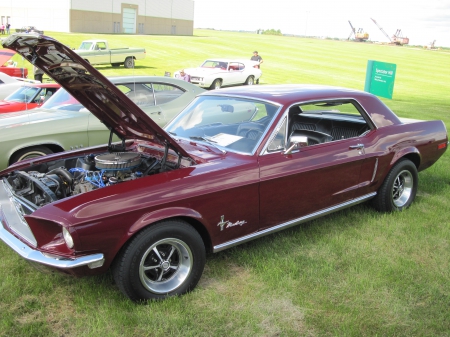 1968 Ford Mustang coupe - ford, tires, engine, photography