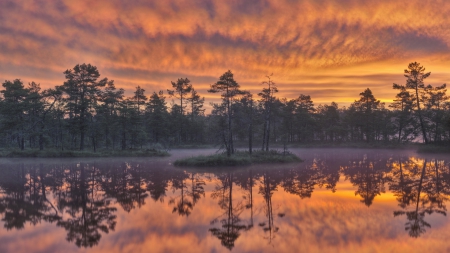 beautiful lake in sweden in dawn mist - lake, trees, reflection, dawn, clouds, mist