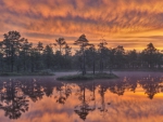 beautiful lake in sweden in dawn mist