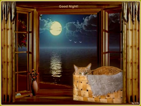 good night ,cat - moon, sea, night, cat