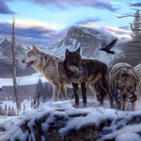 Wolves