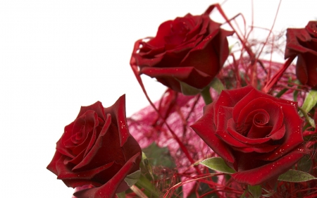 Bouque of Red Roses - nature, bouque, roses, flowers, red rose